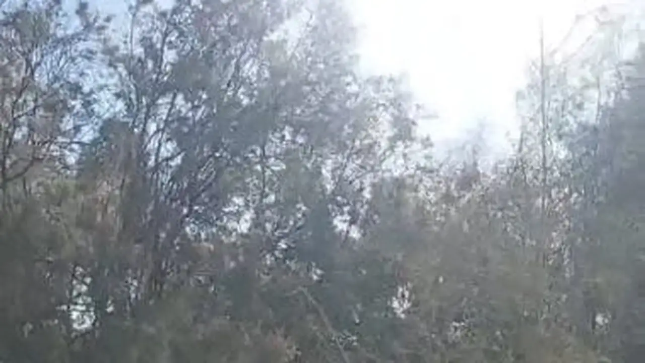 سحب كثيفة وأمطار خفيفة تشهدها سماء محافظة الوادي الجديد خلال الساعات الجارية